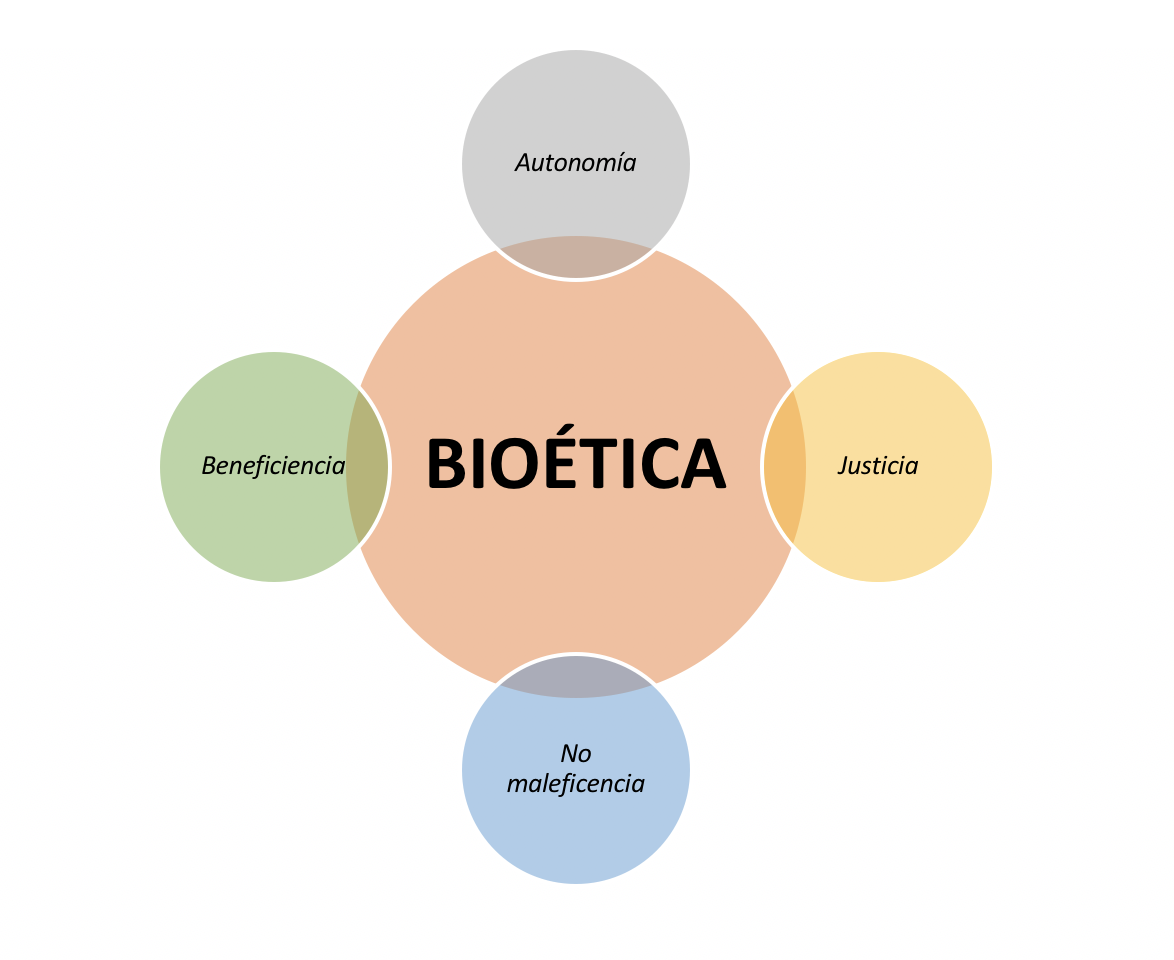 Principios De La Bioetica 6322